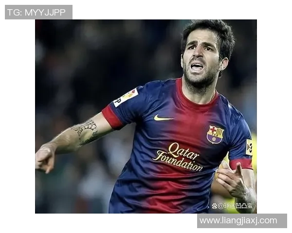 世界足球顶级球星盘点及风采描摹